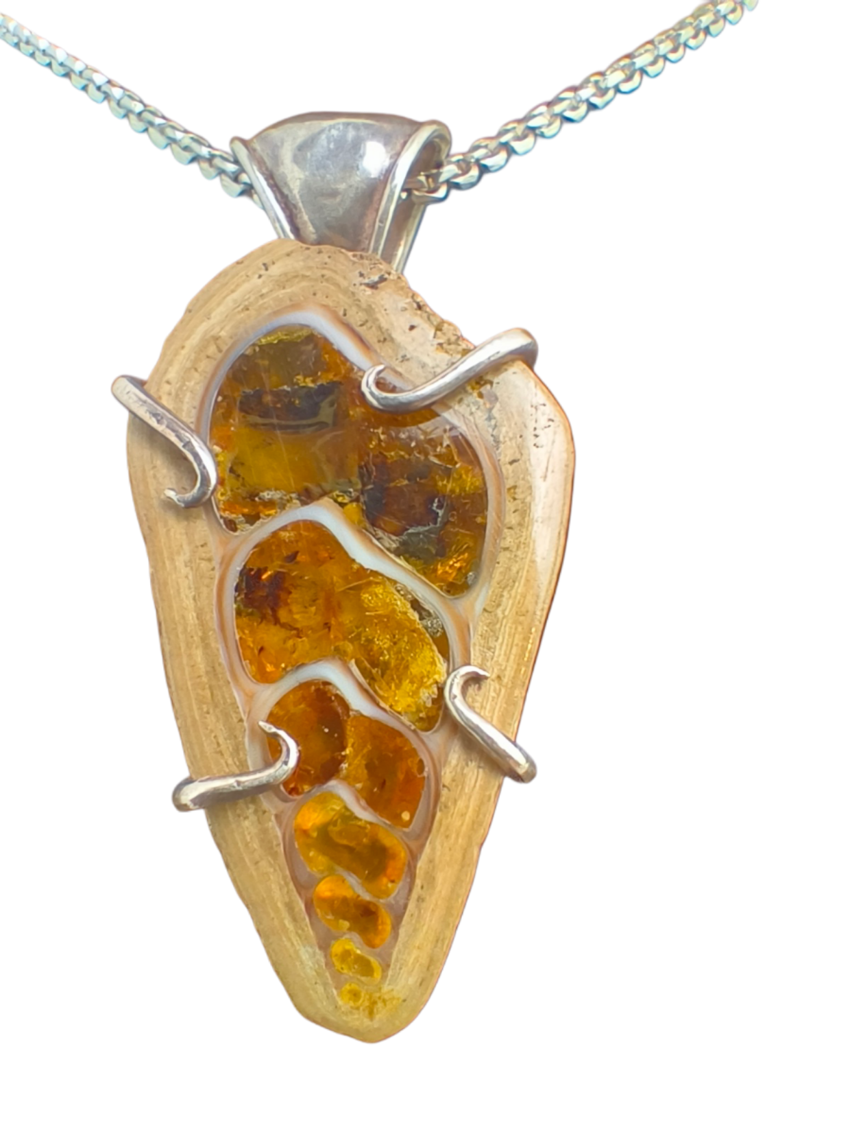 Fossil Hängsmycke