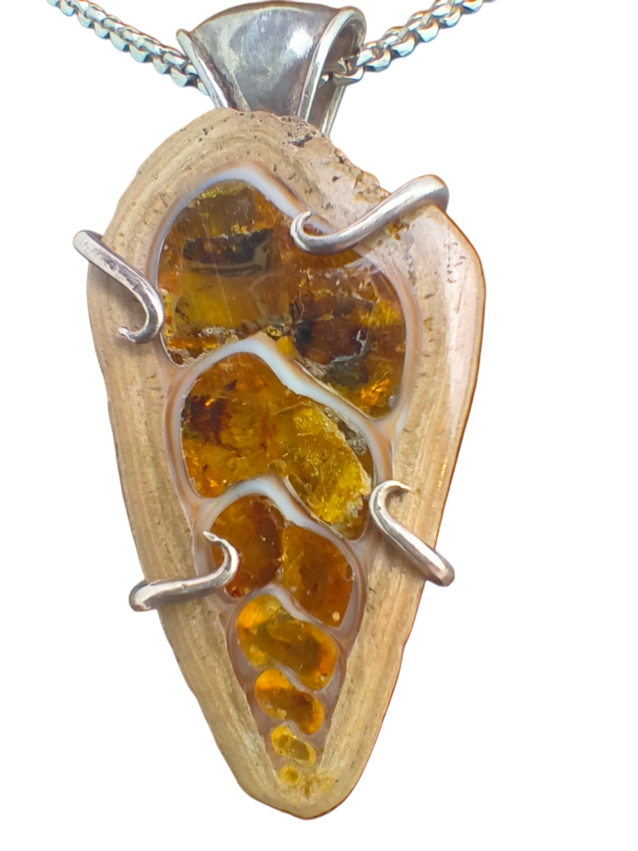 Fossil Hängsmycke